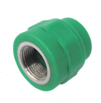 Đầu Nối ren trong PPR Europipe