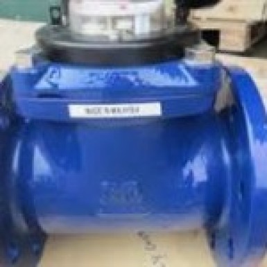 Đồng hồ đo lưu lượng nước DN 250 Minox – Maxlai