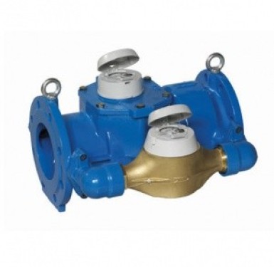 Đồng hồ nước Itron Isoflo 60/65×20