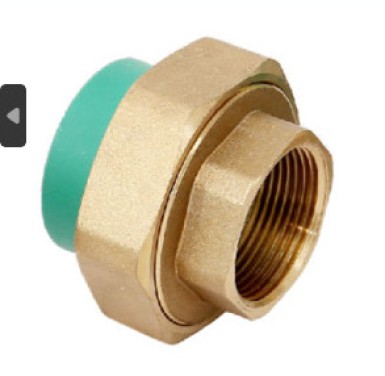 Zắc co ren trong PPR Dismy